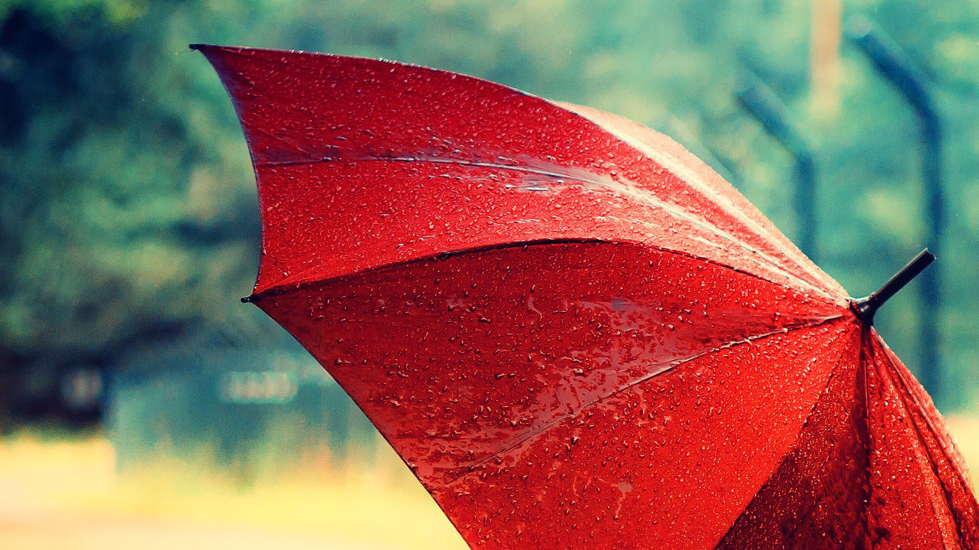 Red Umbrella Stock Photos wallpaper | nature and landscape ...