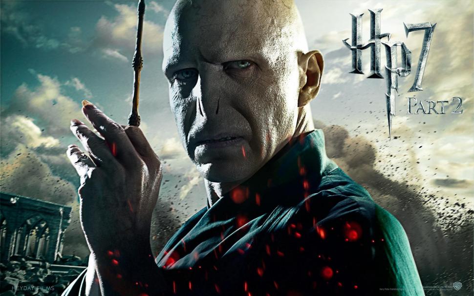 Lord Voldemort Vs Harry Potter Wallpaper Movies And Tv Series